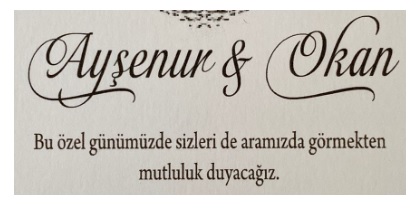 Ayşenur ile Okan Evleniyorlar