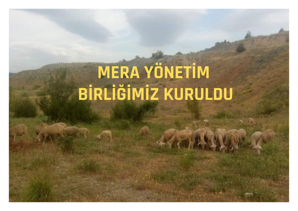 Mera Yönetim Birliğimiz Kuruldu