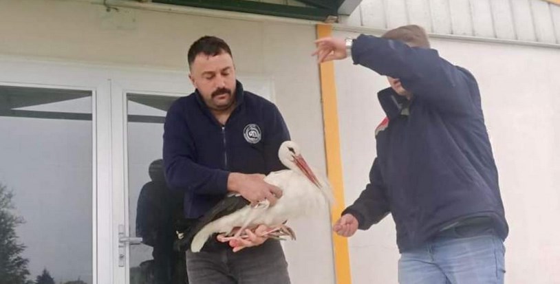 Her canlı bizler için çok kıymetli